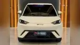 BYD Dolphin - Miniatura 11