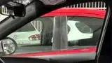 BYD Dolphin Mini - Miniatura 4