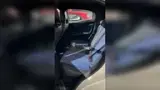 BYD Dolphin Mini - Miniatura 6