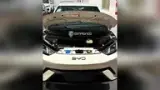 BYD Dolphin Mini - Miniatura 7