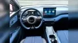 BYD Dolphin Mini - Miniatura 11