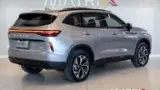 GWM Haval H6 Plug-in Hybrid - Miniatura 19