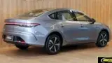 BYD King - Miniatura 4