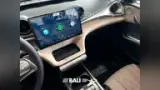 BYD Dolphin - Miniatura 13