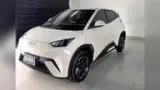 BYD Dolphin - Miniatura 1