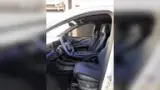BYD Dolphin - Miniatura 7