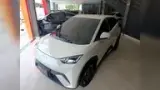 BYD Dolphin Mini - Miniatura 1