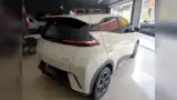 BYD Dolphin Mini - Miniatura 5