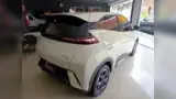 BYD Dolphin Mini - Miniatura 7