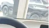 BYD Dolphin Mini - Miniatura 10