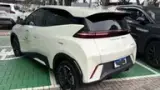 BYD Dolphin Mini - Miniatura 5