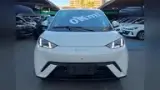 BYD Dolphin Mini - Miniatura 2
