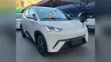 BYD Dolphin Mini - Miniatura 3