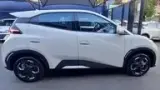 BYD Dolphin Mini - Miniatura 4