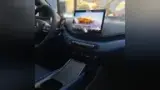 BYD Dolphin Mini - Miniatura 12
