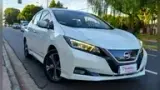 Nissan Leaf - Miniatura 1