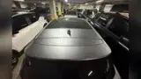 BYD Dolphin Plus - Miniatura 5