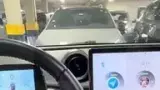 BYD Dolphin Plus - Miniatura 6