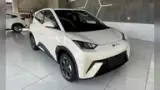 BYD Dolphin Mini - Miniatura 2