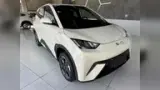 BYD Dolphin Mini - Miniatura 3