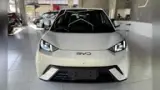 BYD Dolphin Mini - Miniatura 5