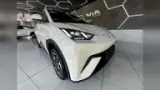 BYD Dolphin Mini - Miniatura 13