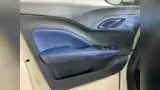 BYD Dolphin Mini - Miniatura 18