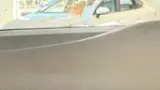 BYD Dolphin Mini - Miniatura 7