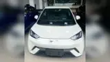 BYD Dolphin Mini - Miniatura 1