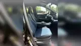 BYD Dolphin Mini - Miniatura 9
