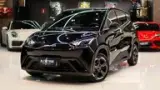 BYD Dolphin Plus - Miniatura 1