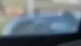 BYD Dolphin - Miniatura 3