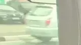 BYD Dolphin Mini - Miniatura 10