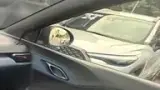 BYD Dolphin - Miniatura 8