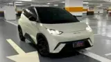 BYD Dolphin Mini - Miniatura 1