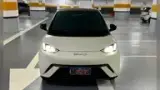 BYD Dolphin Mini - Miniatura 2