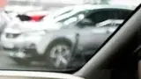 BYD Dolphin Mini - Miniatura 8