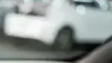 BYD Dolphin Mini - Miniatura 12