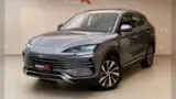 BYD D1 - Miniatura 1