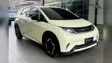 BYD D1 - Miniatura 1