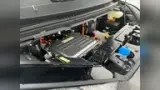 BYD Dolphin - Miniatura 17