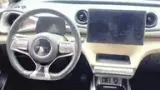 BYD Dolphin - Miniatura 11