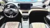 BYD Dolphin - Miniatura 12