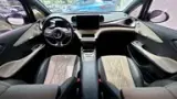 BYD Dolphin - Miniatura 13