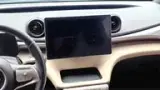 BYD Dolphin - Miniatura 14