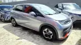 BYD Dolphin - Miniatura 2