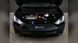 BYD Dolphin Mini - Miniatura 5