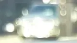 BYD Dolphin - Miniatura 4