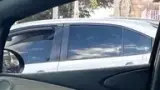 BYD Dolphin - Miniatura 13