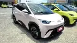 BYD Dolphin Mini - Miniatura 1